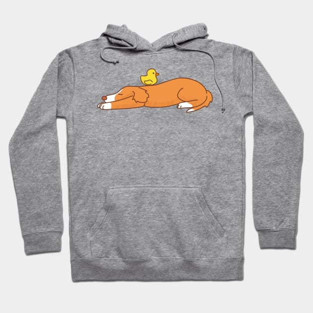 Duck Tolling Retriever Hoodie by Wlaurence